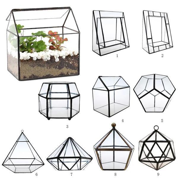 Pots Verre irrégulier Géométrique Terrarium Boîte Table Succulent Air Plante Fougère Mousse Pot Planteur T200104