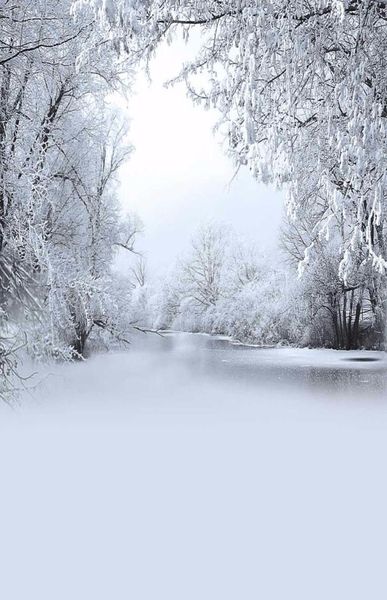 Árvores Cobertas de neve Rio Congelado Pografia Pano de Fundo Vinil Inverno Cênico Papel de Parede Crianças Crianças Férias Po Shoot Fundo fo9549178