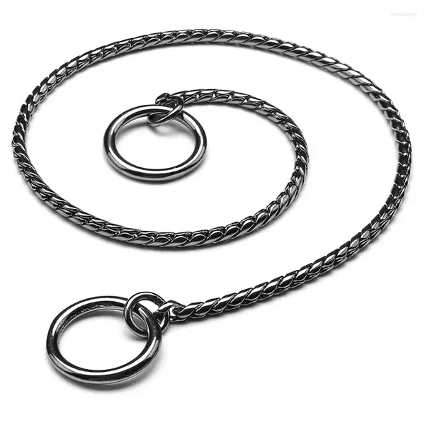 Collari per cani Collare a strozzo con catena a serpente P Collana in metallo con zeppa Forniture per animali domestici per addestramento a piedi per cani di taglia piccola, media e grande