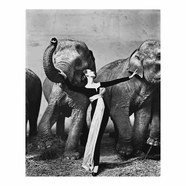 Pinturas Richard Avedon Dovima com Elefantes Vestido de Noite Fotografia Pintura Poster Impressão Decoração de Casa Emoldurada ou Sem Moldura Photopaper Mate