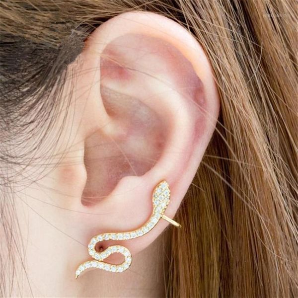 Stud Rose Gold CZ Snake Ear Jacket Brincos para Mulheres Reptile Jóias Animal Cristal Dainty Boucle D'oreille Femme 20211257j