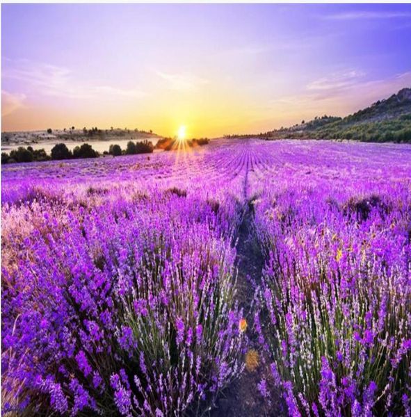 Personalizado po papel de parede 3d estéreo bonito romântico roxo lavanda campo dourado sol fundo parede sala estar 3d pain3231059