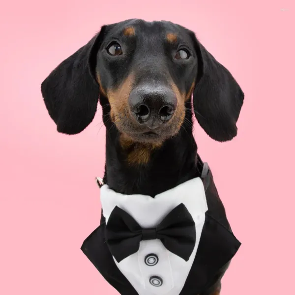 Abbigliamento per cani Smoking formale da matrimonio bello fatto a mano con papillon sopra il colletto regolabile Accessori bandana per animali domestici Sciarpa con bavaglini