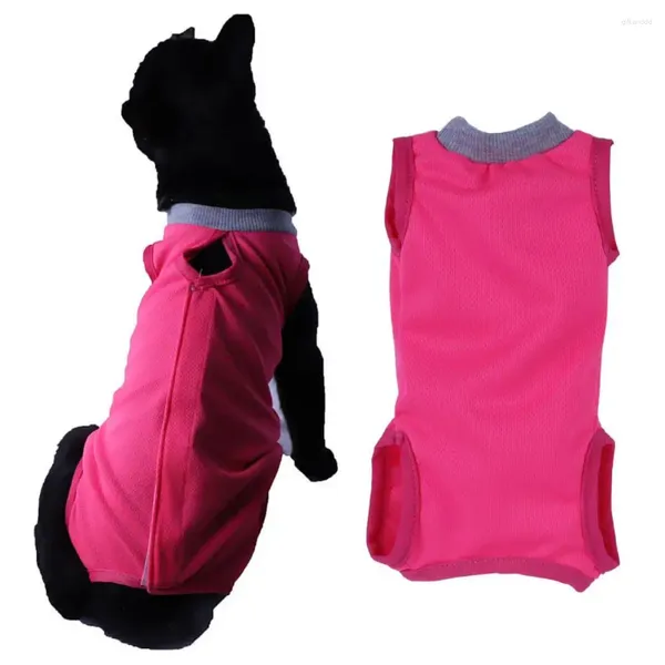 Trajes de gato roupas de recuperação roupas de terno de castração ajustável para proteção pós-conforto spay