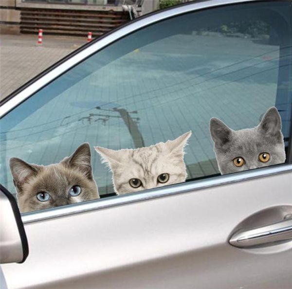 3d efeito vívido gatos cães adesivos de parede para quartos de crianças banheiro banheiro janela do carro pvc animais decalques de parede diy cartazes decoração7188598