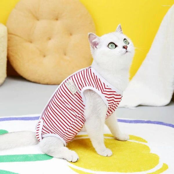 Costumi per gatti Vestiti per il recupero di animali domestici Tuta per sterilizzazione a strisce colorate Chiusura con nastro di fissaggio Abbigliamento per cani Gatti di piccola taglia
