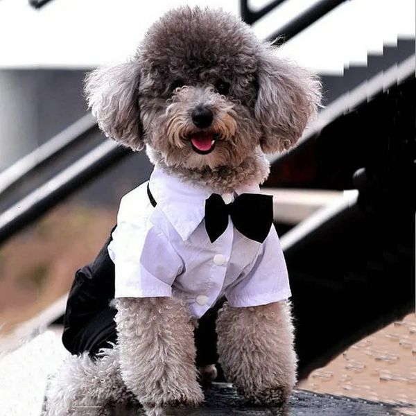 Beyefendi köpek kıyafetleri düğün takım elbise resmi gömlek küçük köpekler için bowtie smokin chihuahua yavru tulum kostümleri evcil hayvan 231227
