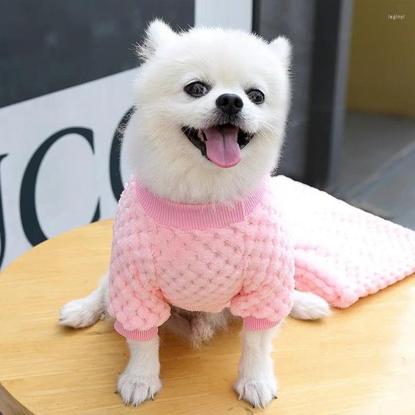 Vestuário para cães roupas para animais de estimação colete quente teddy bichon pequeno gato roupas filhote de cachorro traje camisola ao ar livre ropa perro produtos atacado