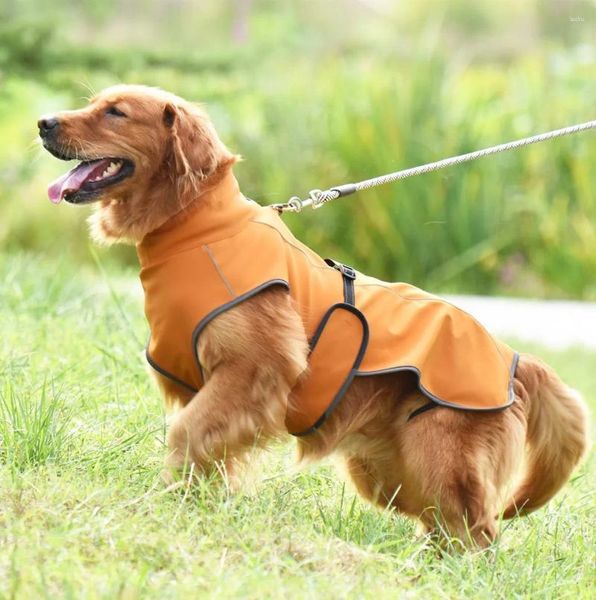 Vestuário de cachorro Roupas grandes refletidas para o outono e inverno quentes casaco de animais de estimação Gold Hair Labrador algodão