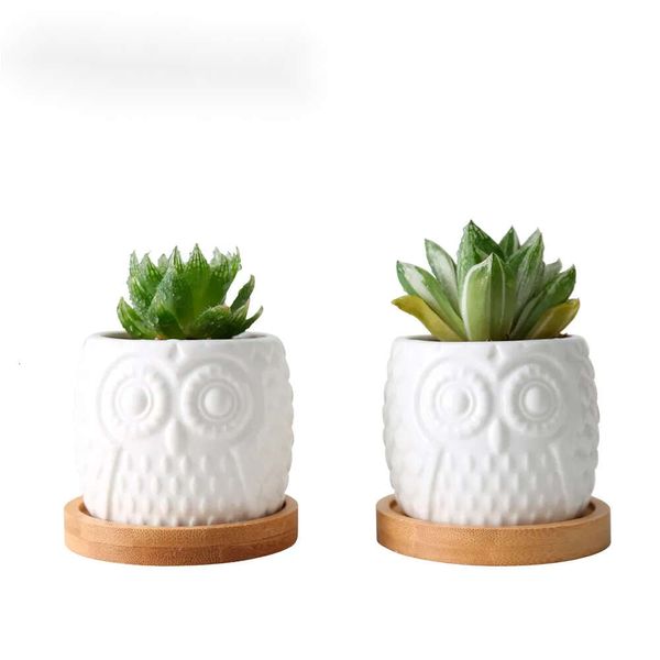 2 set seramik etli flowerpot beyaz baykuş bambu tepsi tutucu sevimli kaktüs saksı bonsai ekiciler masaüstü y200723