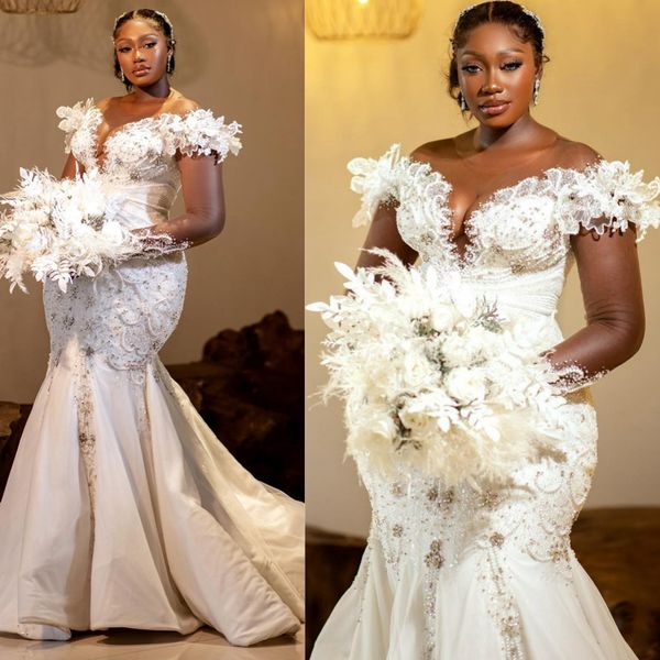 Abito da sposa a tromba di illusione taglie forti per sposa sirena aso ebi a maniche lunghe in rilievo in rilievo in pizzo in rilievo per il matrimonio in stile country africano CDW179