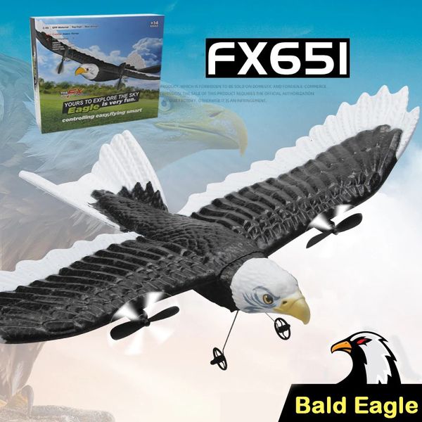 RC Flugzeug Spannweite Eagle Aircraft Fighter 2,4G Radio Fernbedienung Hobby Segelflugzeug Flugzeug Schaum Jungen Spielzeug für Kinder 231227