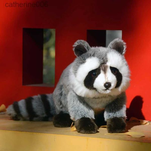 Animais de pelúcia de pelúcia 20cm de altura bonito vida real como América Grey Raccoon Plush Toy Doll Simulação Modelos de animais selvagens Brinquedo para presente de NatalL231228