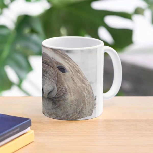 Кружки The Beach Master - Южный бульный слон Seal Seal Coffee Cup Cup для чая