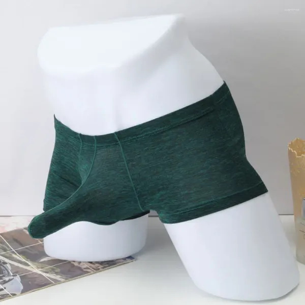 Underpants sexy maschile maschile per elefante boxer boxer pantaloncini a vita morbida a vita morbida bulge traspirante pantaloni angolari piatti