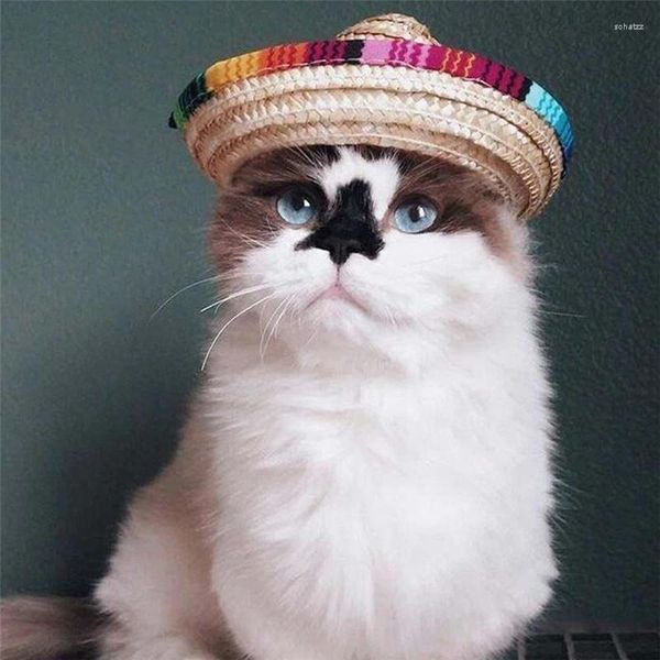 Cão vestuário chapéu gato mexicano palha sombrero animal de estimação ajustável fivela traje feliz festa de halloween ornamentos