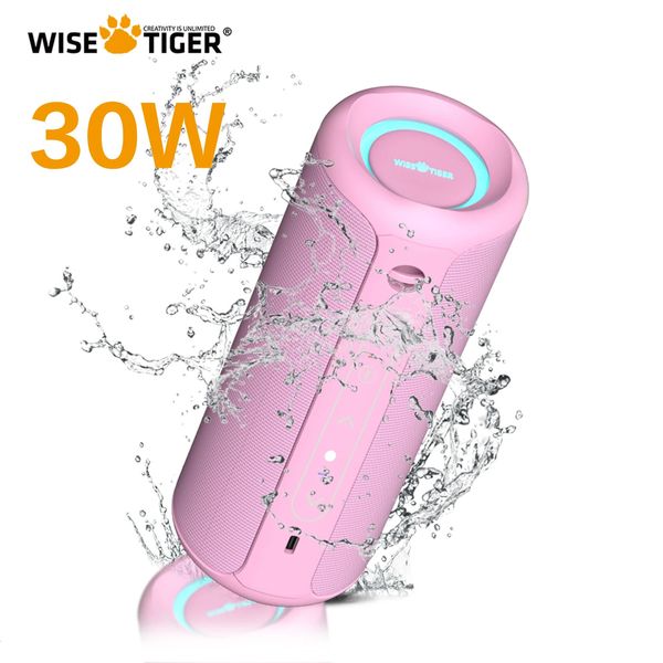 WISETIGER P3 Pink Tragbarer Bluetooth-Lautsprecher IPX7 Wasserdichter 30-W-Subwoofer mit Mikrofon für Zuhause im Freien und auf Reisen 231228