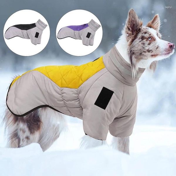 Abbigliamento per cani Cani di taglia media Abbigliamento invernale addensato Giacca per animali impermeabile Gilet imbottito in cotone caldo Costume da Labrador Abbigliamento Akita