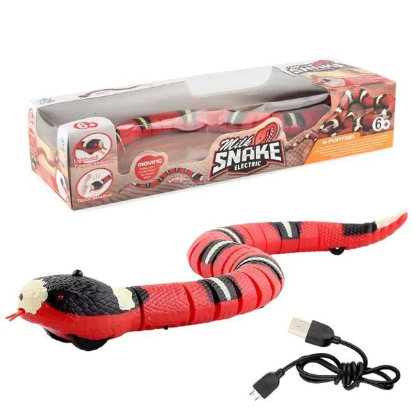 RC Smart Sensing Snake USB Carregamento Sensorial Obstáculo Evitar Rato Eletrônico Brinquedos Pet Cat Dog Jogo Interativo Jogar Brinquedos 231229