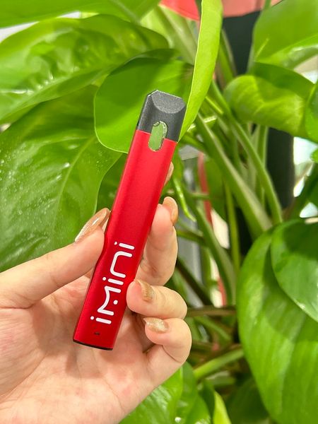 IMINI VAPE VAPE ESPAÇÃO 1,0 ml canetas descartáveis Vaper Recarregável E Cigarros 270mAh Bateria vazia 510 Vaporizador de vapor de vapor Caixa de cartucho