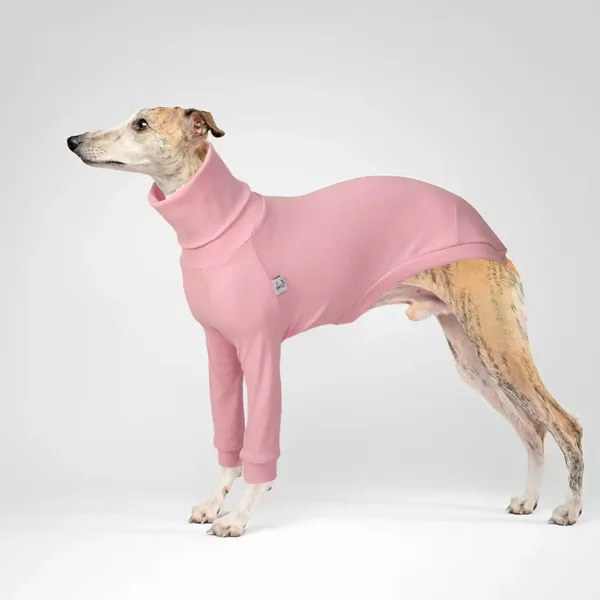 Hundebekleidung, graue Kleidung, Winteranzug, zweibeiniger Pullover mit hohem Kragen, weich, elastisch, dick, warme Luftschicht und winddicht