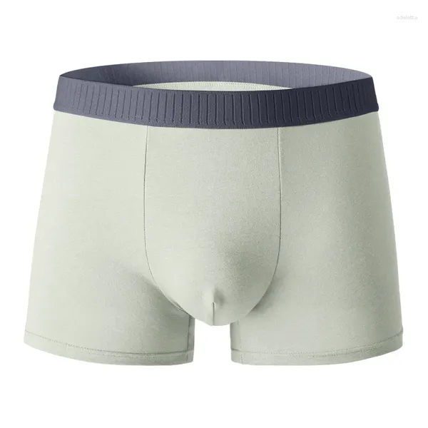 Cuecas masculinas de ângulo plano puro algodão cueca respirável e confortável shorts todos boxer antibacteriano