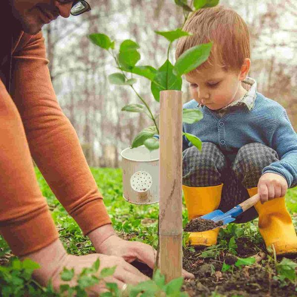 Decorazioni da giardino 5 pezzi di supporto per piante, pali di bambù, bastoncini multifunzione per piante artigianali