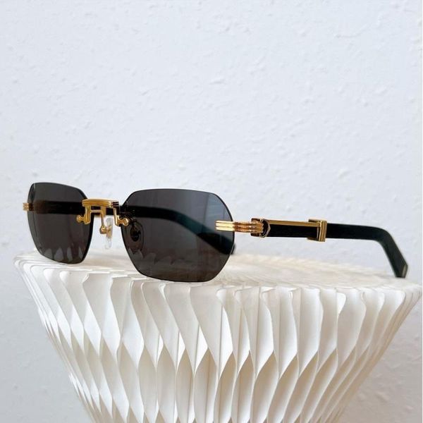 Markendesigner-Sonnenbrillen für Damen und Herren, Eyelgasses, modisch, fahrend, Sport, Carti-Brille, schwarze Linse, rahmenlos, 54 mm Wellenplatte, Brillen g