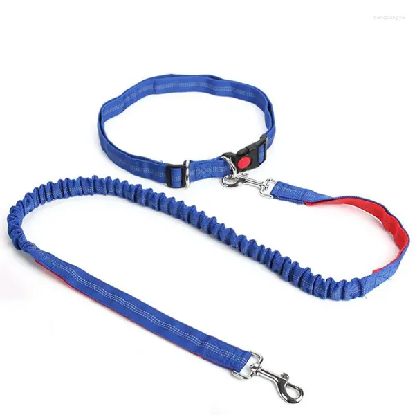 Collari per cani Vita regolabile di alta qualità Guinzaglio per cani da compagnia Mani libere Prodotti Collare per imbracatura Corda per piombo da jogging