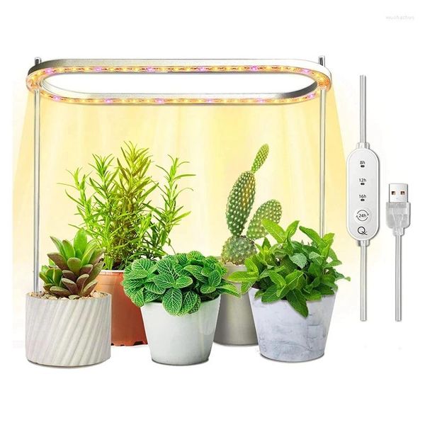 Grow Lights 1 pezzo per piante da interno LED a spettro completo 50 lampade Lampada da coltivazione Halo regolabile in altezza con giallo