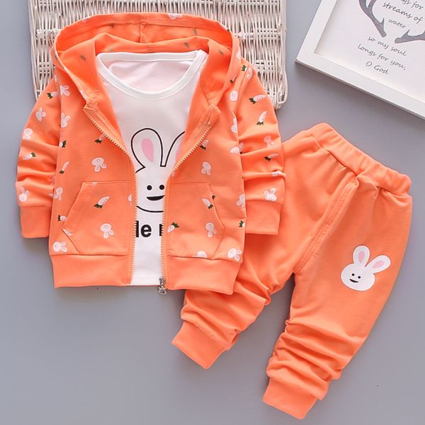 Giyim Setleri 2023 Bebek Erkek ve Kız Set Sonbahar Pamuk Kalın Sıcak Kapüşonlu Kazak Karikatür Sevimli Tavşan Üç Parçalı 05Y 230630