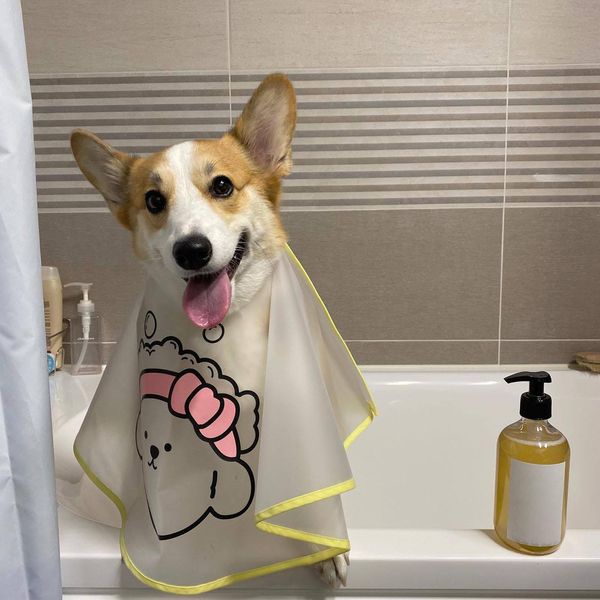 Hoodies Ins Neue Hund Haarschnitt transparent gefrostete Umhang Tränenspuren Gesichtspflege Süßes wasserdicht