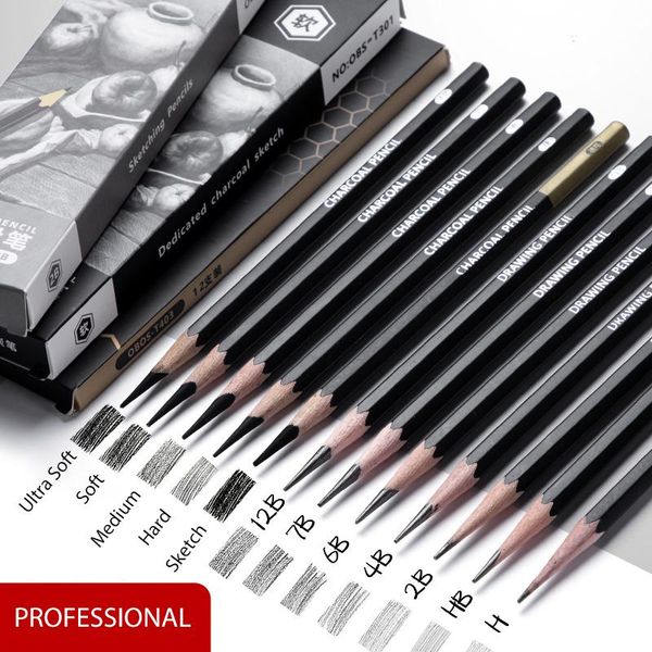 Pencils Professional 2H HB B 2B 3B 4B 6B 8B 12B 14B Skizze Zeichnung Graphitkohlestifte Set Zeichnungskizzierung für Künstleranfänger