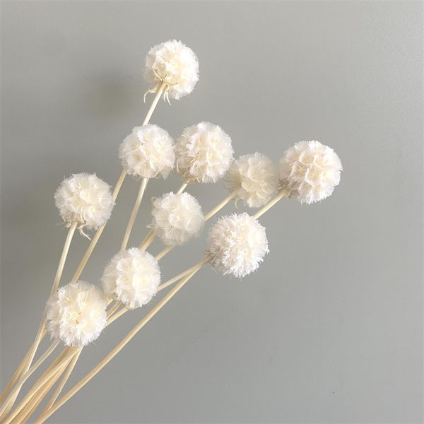 Fiori secchi Bellissime decorazioni per la casa bianche Natural Dry Conservato Ortensia Fiore Bouquest Per Boho Wedding Arrangement Decoration 230701