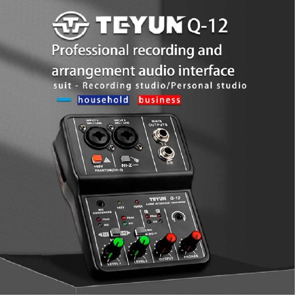 Chitarra Teyun Q22 Q12 Q24 Scheda audio audio professionale Registrazione elettrica Monitor per chitarra per studio di canto Computer Trasmissione dal vivo