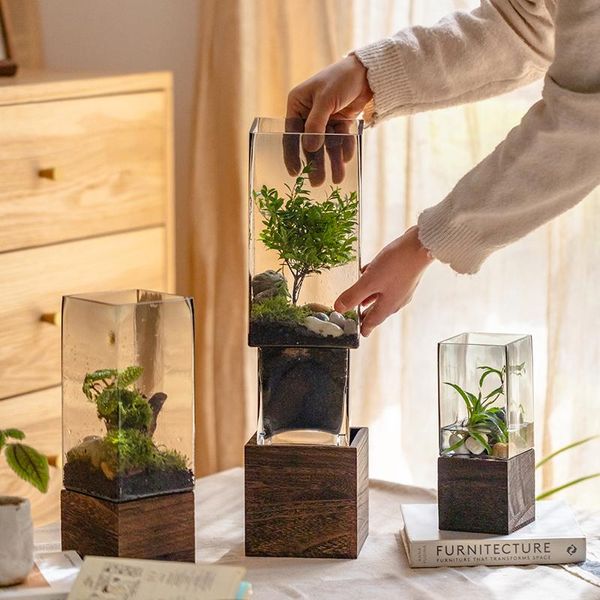 Caixas Vaso de vidro nórdico com base de madeira para flores hidropônicas Flores artificiais Sala de estar Decoração de terrário da mesa do escritório