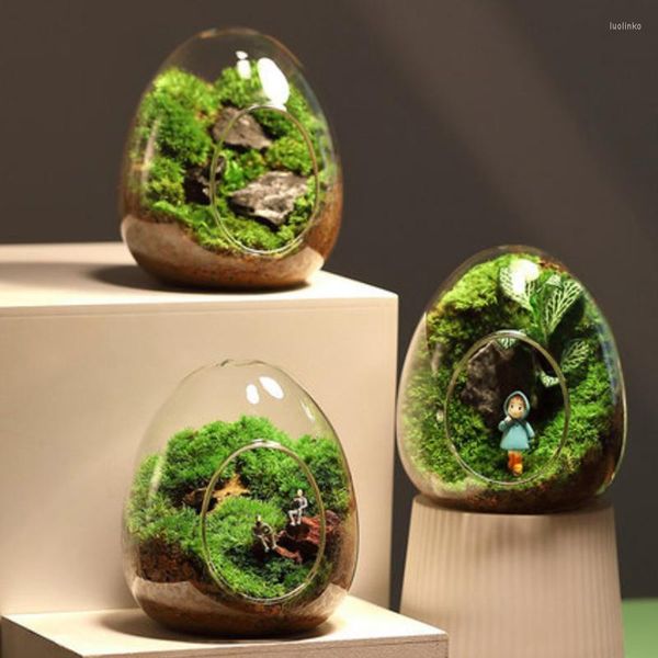 Vasos Micropaisagem Garrafa de vidro em forma de ovo Vaso criativo para suculentas Recipiente hidropônico Musgo Decoração para casa