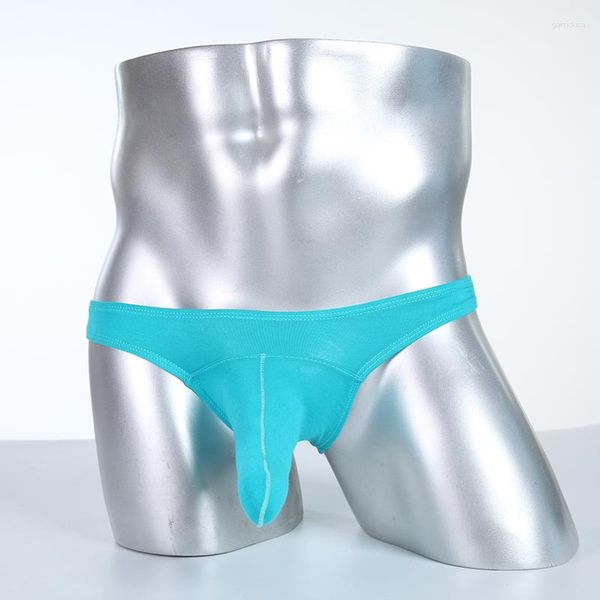 Cueca AIIOU Sexy Masculina Modal Biquíni Cueca Cueca Gay Sissy Calcinha Engraçada Grande Nariz de Elefante Bolsa Penis Hombre