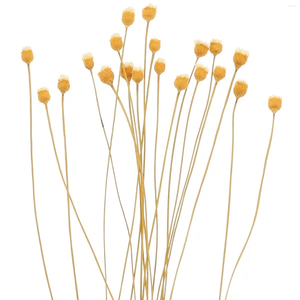 Flores decorativas 20 unidades de vime difusor palhetas de óleo essencial bastões substituíveis