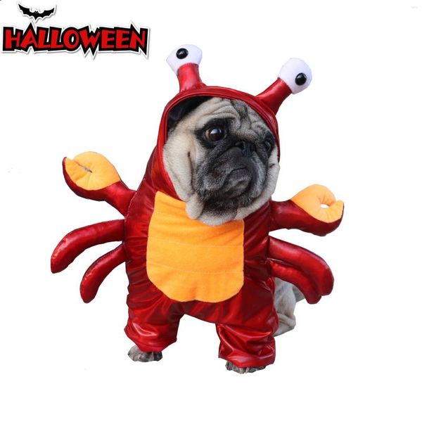 Katzenkostüme, Halloween, grenzüberschreitende Krabbe, Haustierkostüm, lustige Hundekleidung, für kleine und mittelgroße Hunde, aufrechtes Outfit