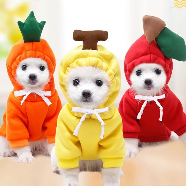 Roupas para cães, roupas com capuz, frutas, animal, sapo, cervo, outono, inverno, quente, bonito, pequeno, médio, filhote, gato, gato, fantasia de animal de estimação