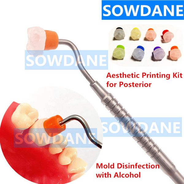 Kit de moldes para impressão estética dental 1 conjunto de higiene bucal com alça de metal e molde de 8 peças para desinfecção de conjunto de moldes para dentes posteriores 230704