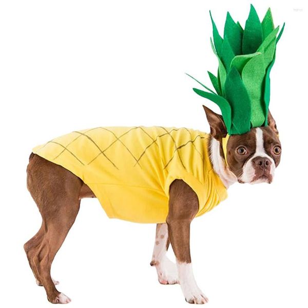 Hundekleidung Haustier Kostüm Set kreative schöne Ananas -Dekor -Hemd mit Hutkatze Party Dress -up Vorräte