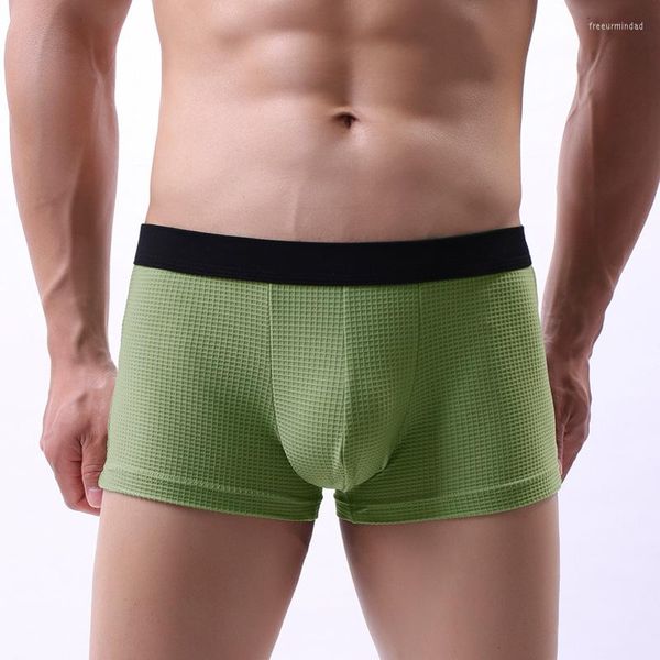 Mutande Biancheria intima da uomo di marca Slip Mens Mesh Cueca Masculina U Pouch Mutandine maschili Pantaloni Gay Ropa