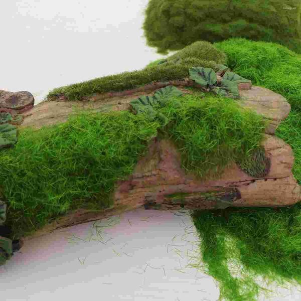 Fiori decorativi 4 pezzi Lichene Erba Simulazione Moss Rockery Tree Polvere per uso decorativo