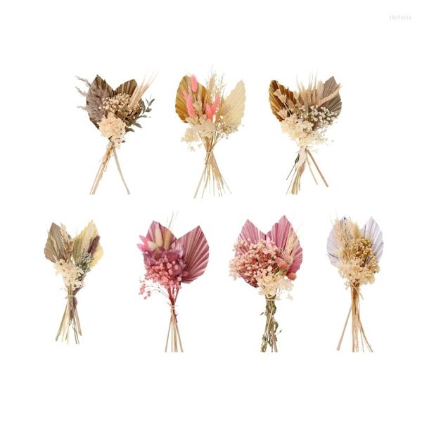 Fiori decorativi Disposizione dei ventagli di fiori secchi fai-da-te Bambini Adulti Fai-da-te Artigianato artigianale 69HF