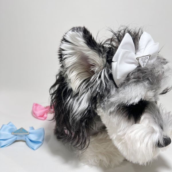Hipster-Haarspange für Haustiere, schöne Modedesigner-Haarnadel für Schnauzer, Teddy, Perserkatze
