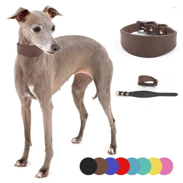 Hundehalsbänder, breit gepolstert, Hundehalsband, echtes Leder, für Welpen, Lurcher, italienische Windhunde, bequemes Haustierzubehör