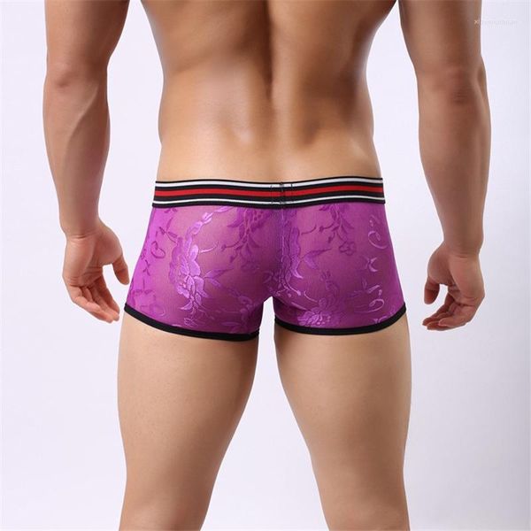 Short Masculino Sexy Masculino Ver Através Renda Malha Cueca Boxer Transparente Lingerie Erótica Oca Calcinha Abrível Vestuário Gay