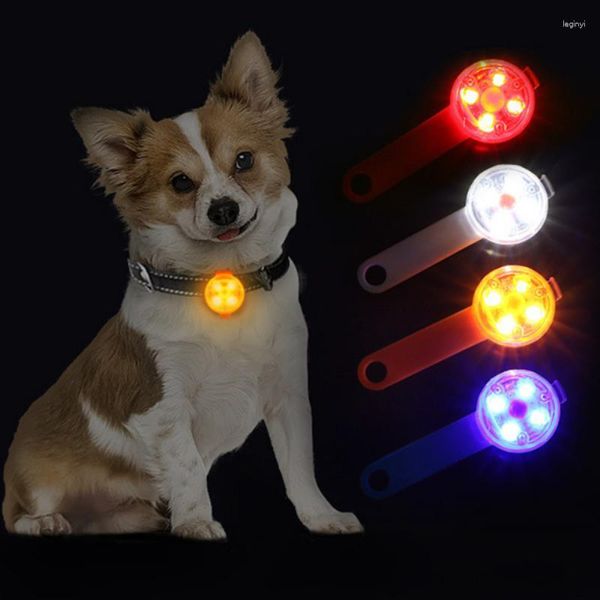 Collari per cani Ciondolo anti-perdita di sicurezza impermeabile LED lampeggiante USB ricaricabile notte luminosa per animali domestici